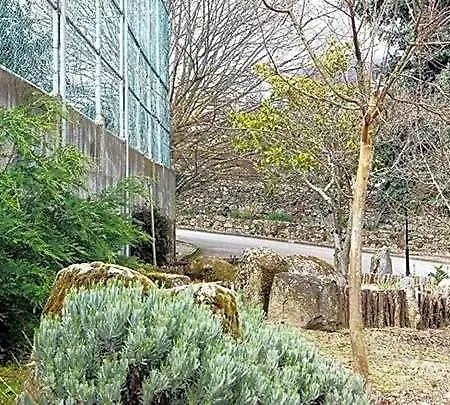 Kolping House فندق مبيت وإفطار لاميغو