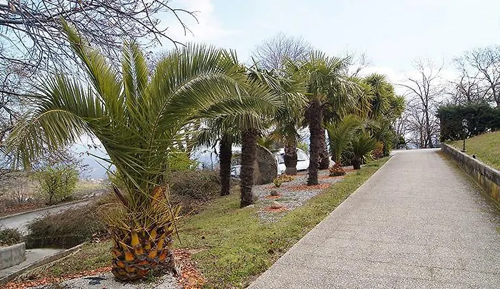 Bed & Breakfast Kolping House Lamego